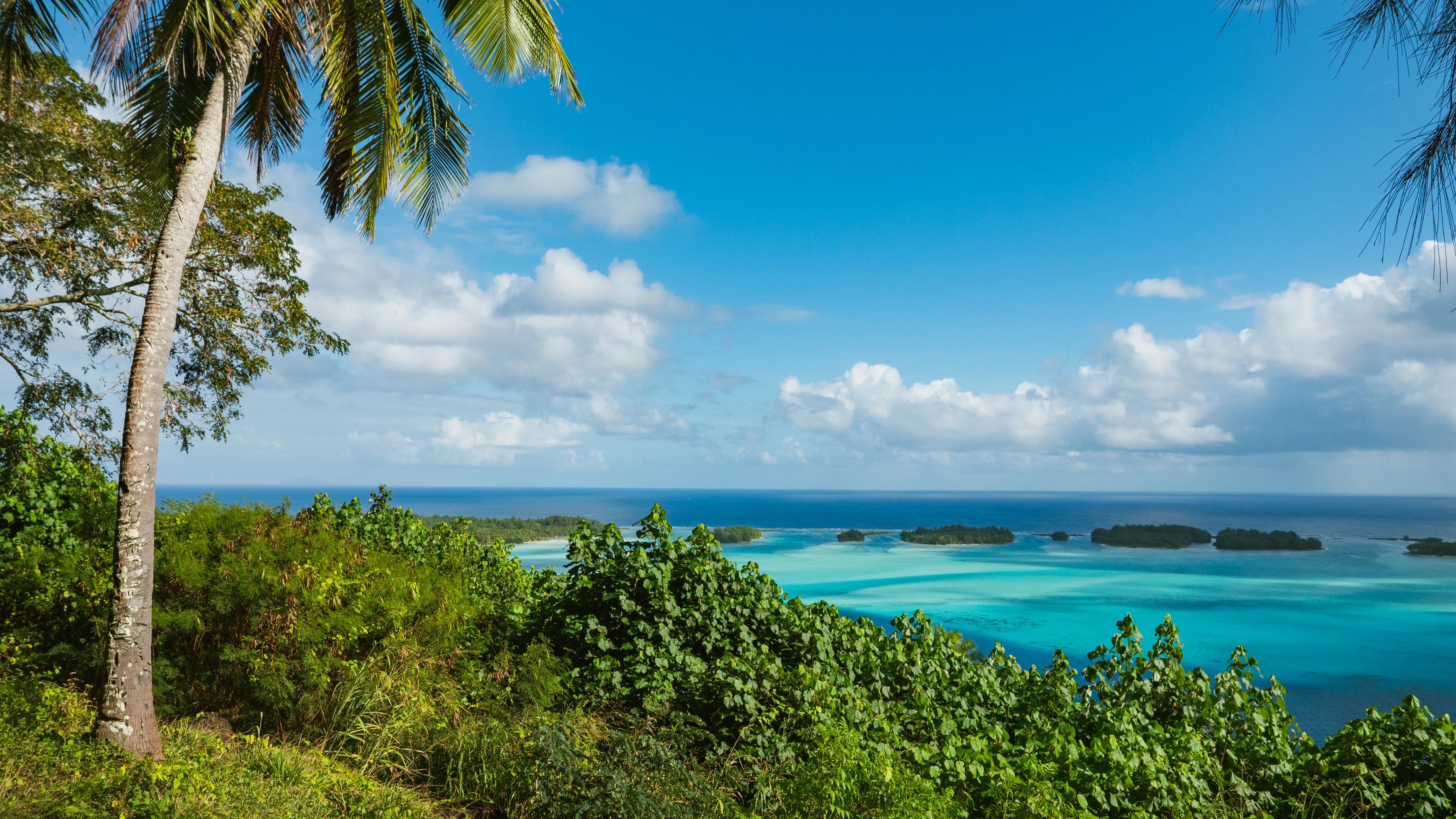 Combo quad et snorkeling à Bora Bora avec mont Popoti, raies, requins de récif et repas polynésien