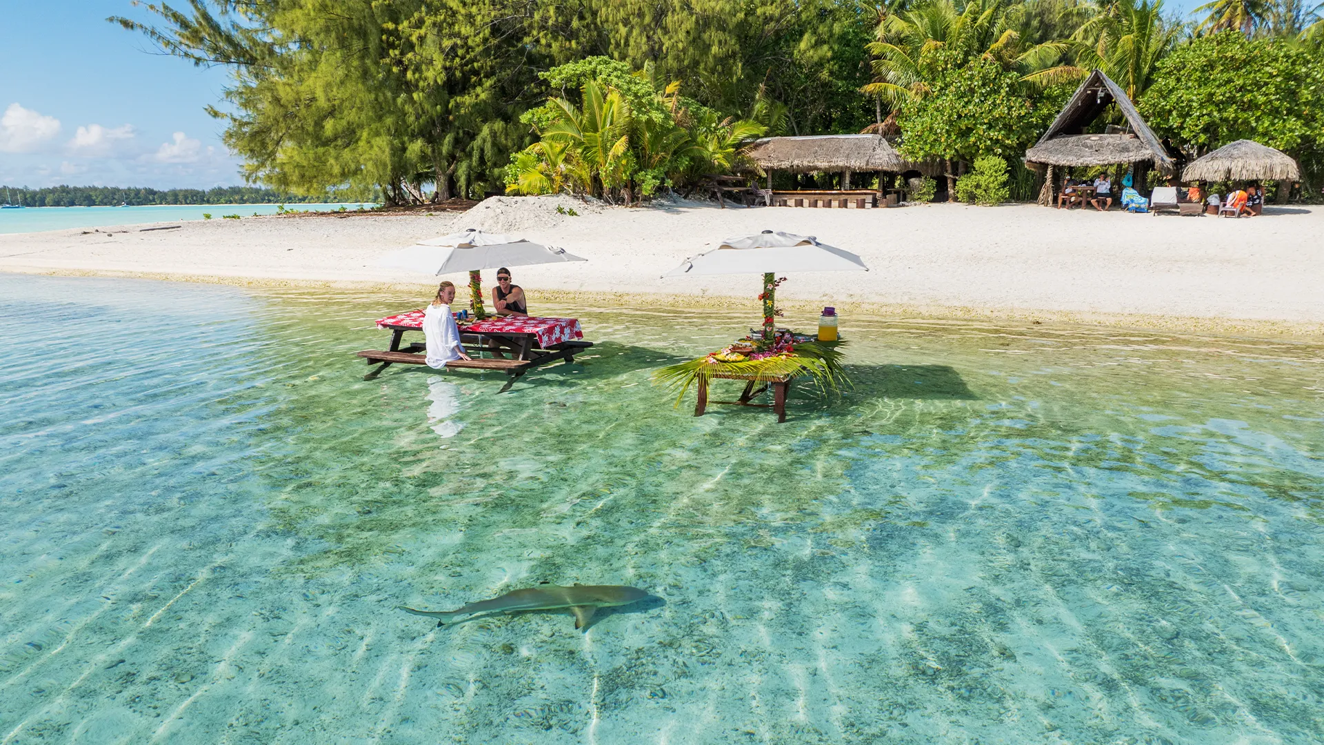4x4 Safari adventure through Bora Bora island scenery