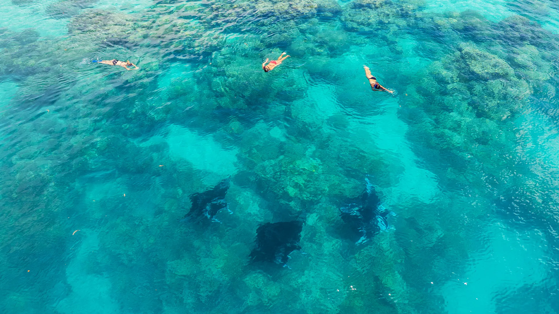 Snorkeling in the clear Bora Bora lagoon during the combo tour