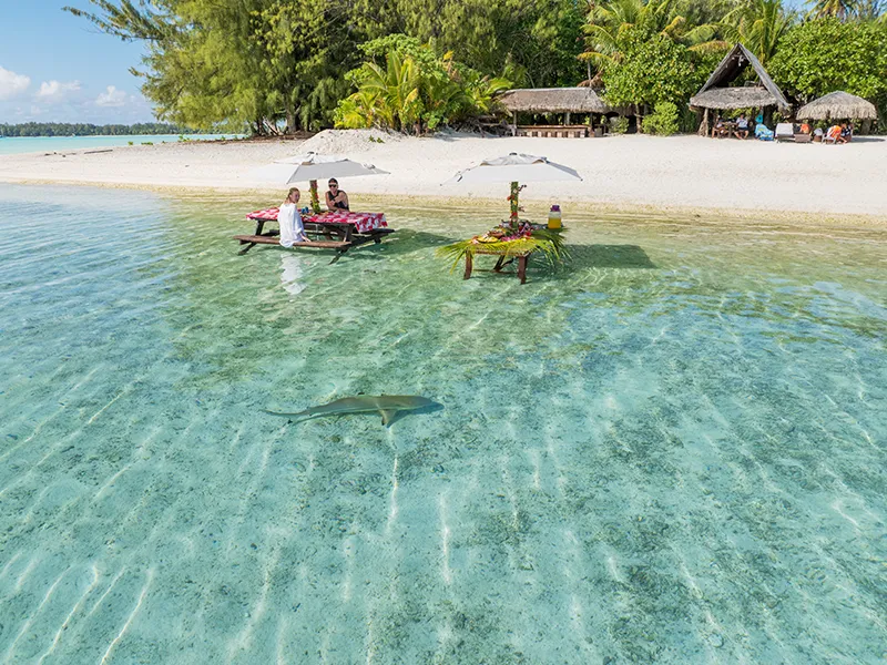 Polynesian lunch served on a private motu in Bora Bora