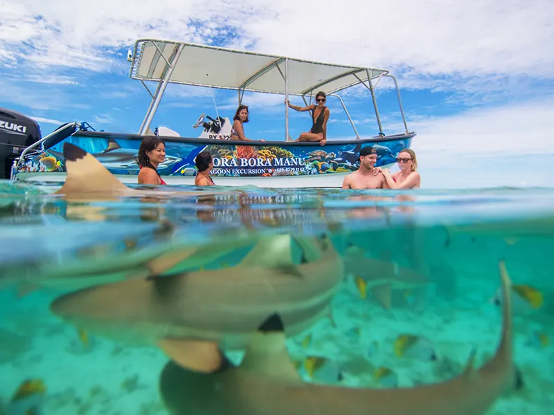 Snorkeling with rays and sharks in the Bora Bora lagoon