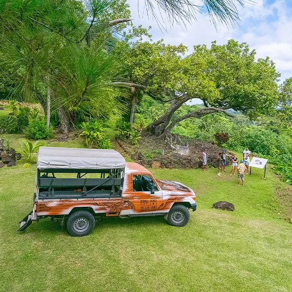 Faanui Valley Culture